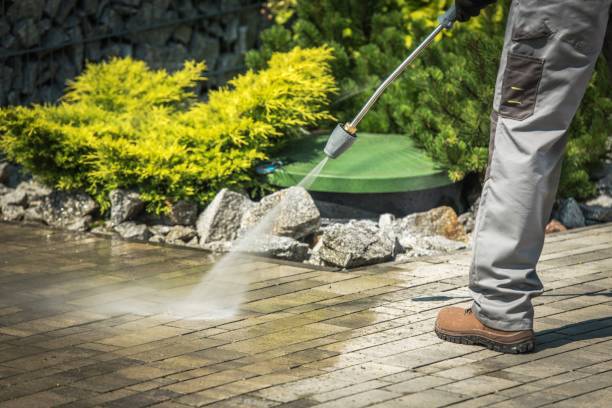 Best Soft Washing  in Suisun City, CA