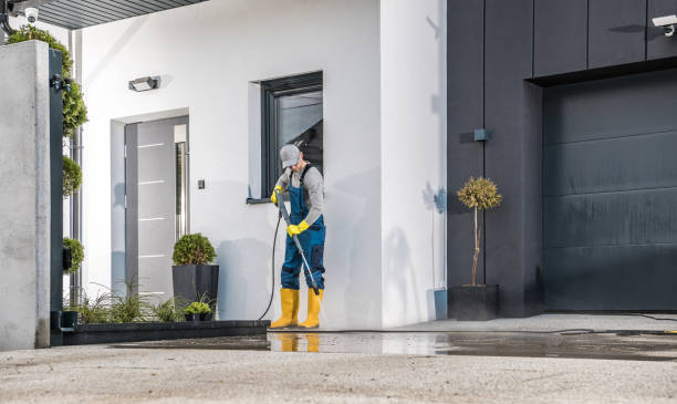 Animal Enclosure Cleaning in Suisun City, CA